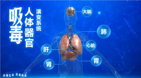 壹传诚——吸毒器官演变