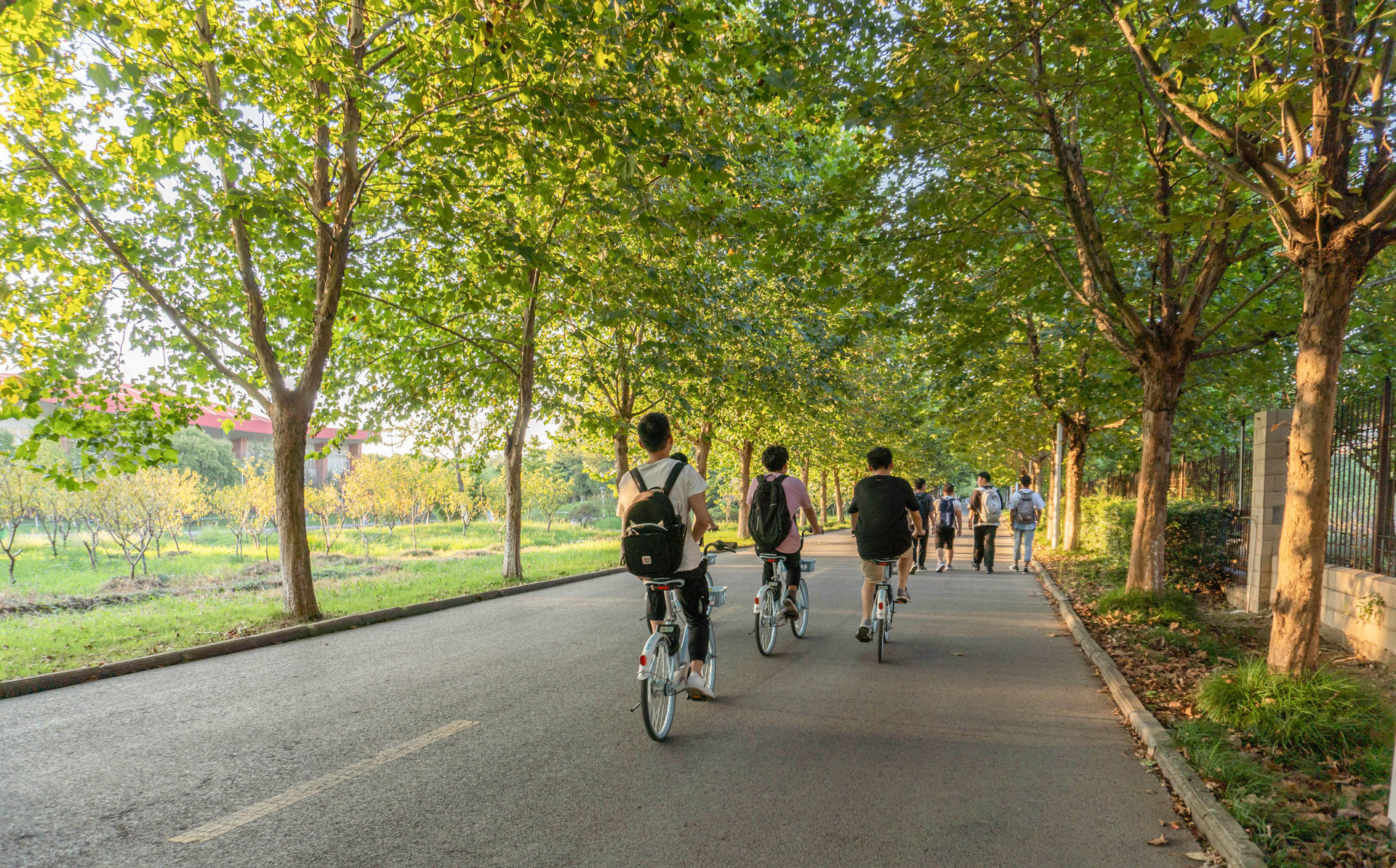 VR骑行,VR自行车骑行,VR道路安全