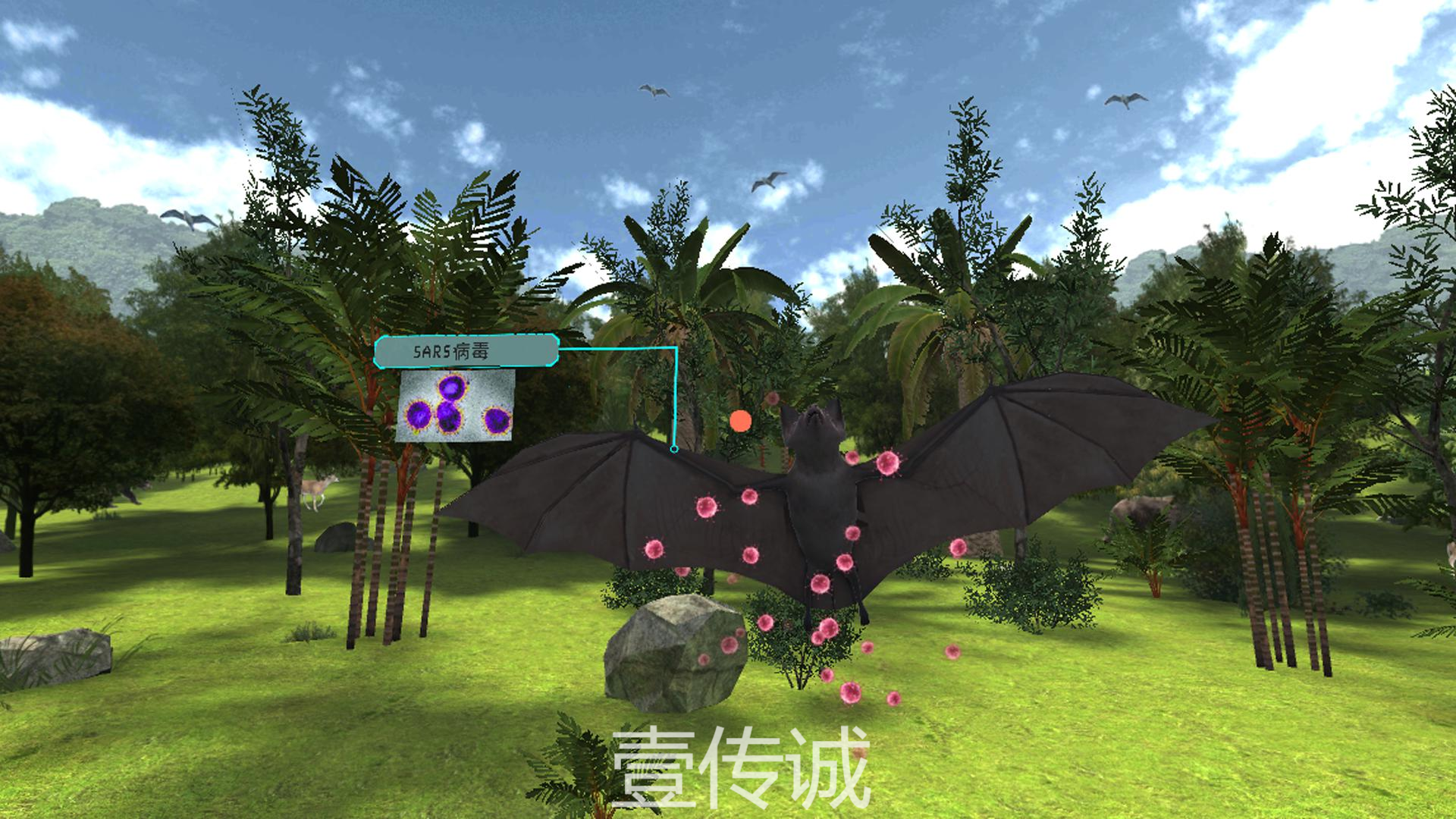 VR传染病科普,VR野生动物,VR安全科普