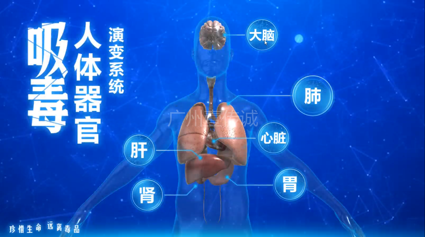 壹传诚——吸毒器官演变